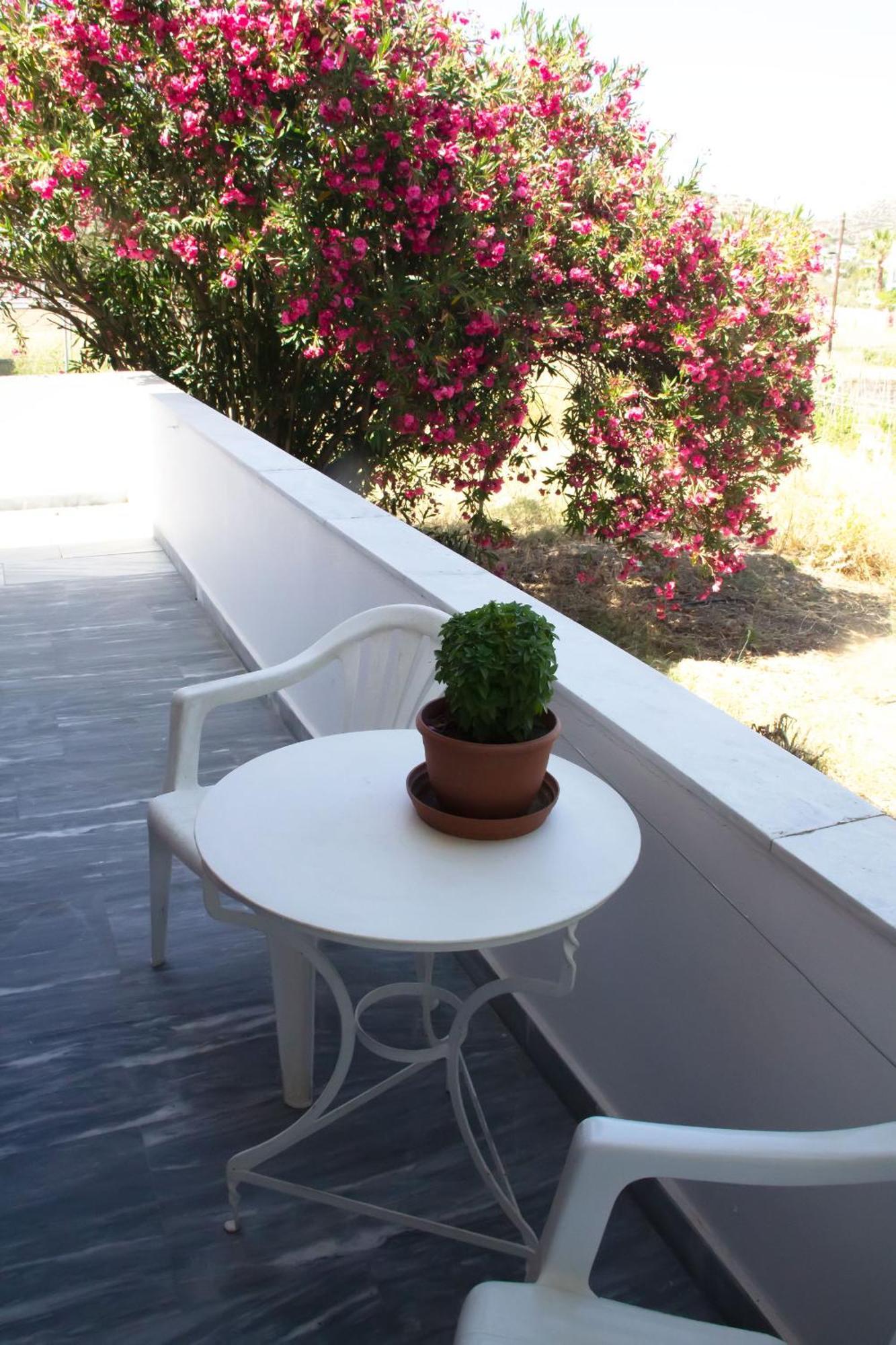 Aristidis Apartment Galissas Bagian luar foto